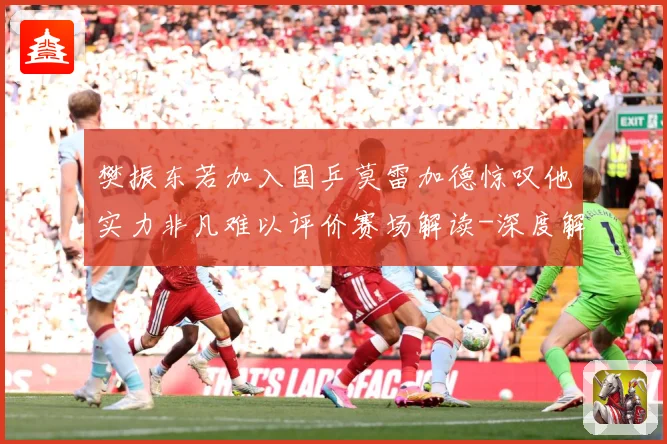 樊振东若加入国乒莫雷加德惊叹他实力非凡难以评价赛场解读-深度解析