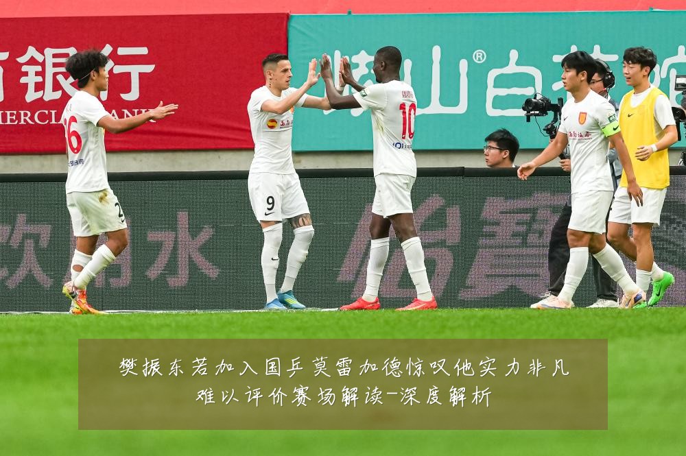 樊振东若加入国乒莫雷加德惊叹他实力非凡难以评价赛场解读-深度解析